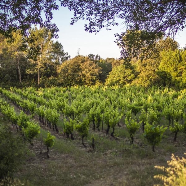 Domaine Berry - Althoff & Le Quai à Raisins - Imogen Berry & Robin Althoff
