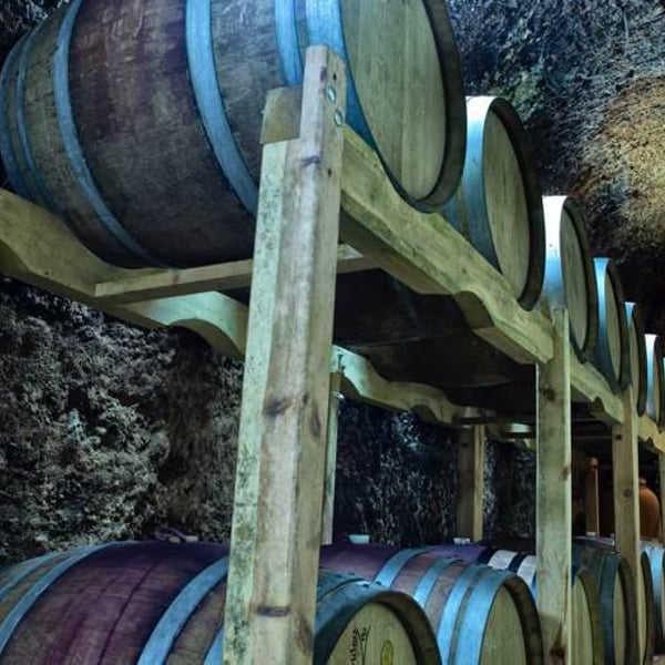 MicroBioWines - Ismael Gozalo