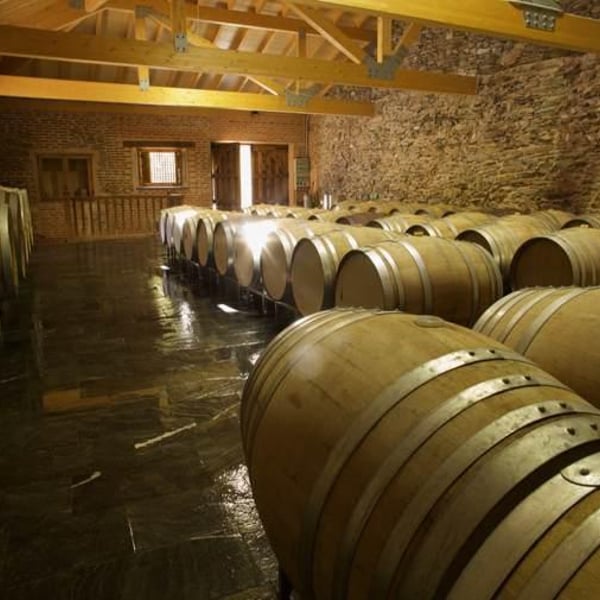 MicroBioWines - Ismael Gozalo