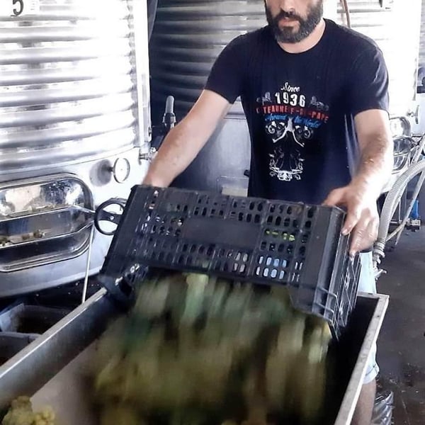 Paret Seca Vins - Ivà Gallego Santacana