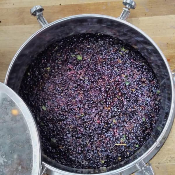 Paret Seca Vins - Ivà Gallego Santacana