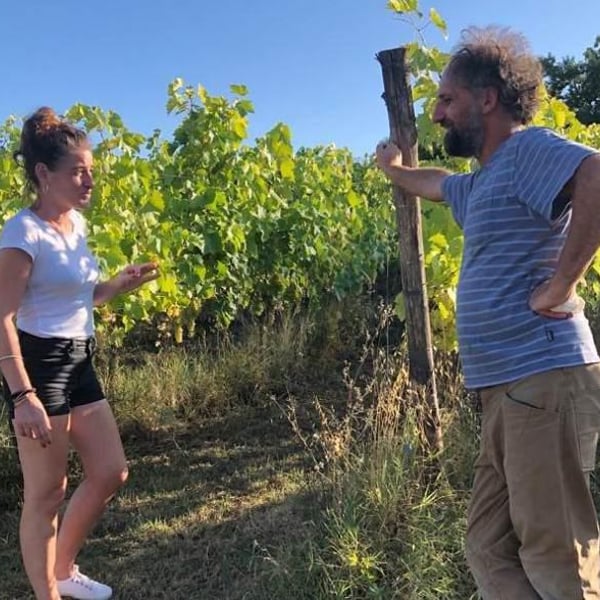 Azienda Agricola Ajola - Jacopo Battista