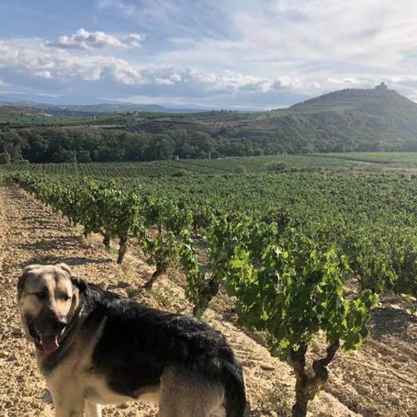 Bodegas Moraza - Janire Moraza and Patricio Brongo