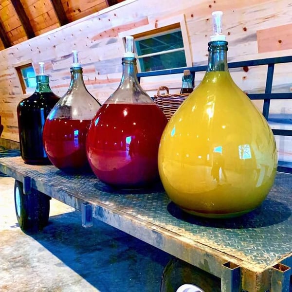 Grape Ink Wines - Jarad Hadi