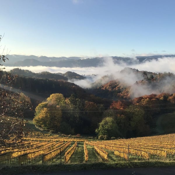 Weingut Daniel Jaunegg - Jasmin & Daniel Jaunegg