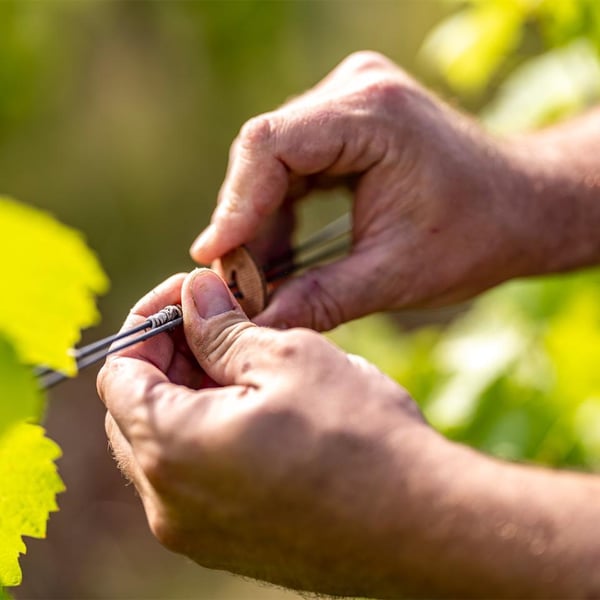 Domaine Fischbach - Jean Dreyfuss