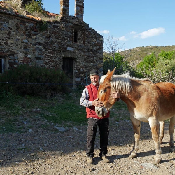 Domaine Du Traginer - Jean-François Deu
