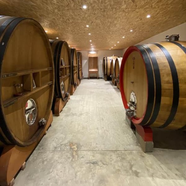 Domaine Jean François Debourg - Jean-François & Ghislaine Debourg
