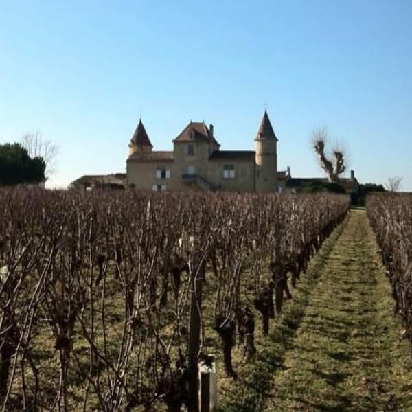 Château Massereau - Jean-François & Philippe Chaigneau