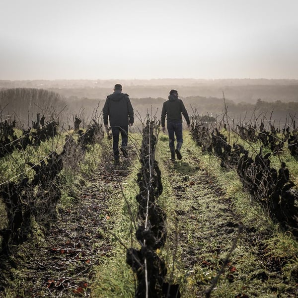 Jean-Jacques Bonnet & Vincent Pineau