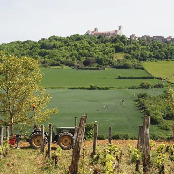 Domaine La Mutine - Jean-Paul Pando