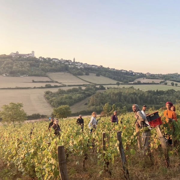 Domaine La Mutine - Jean-Paul Pando