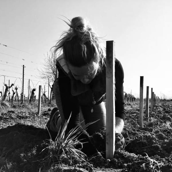 Domaine Achillée - Jean & Pierre Dietrich