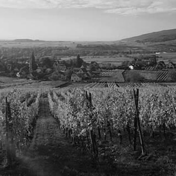 Domaine Rietsch - Jean-Pierre & Sophie Rietsch