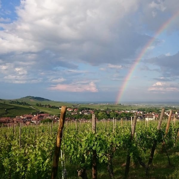 Domaine Clé de Sol - Jean & Simon Baltenweck & Yannick Mignot