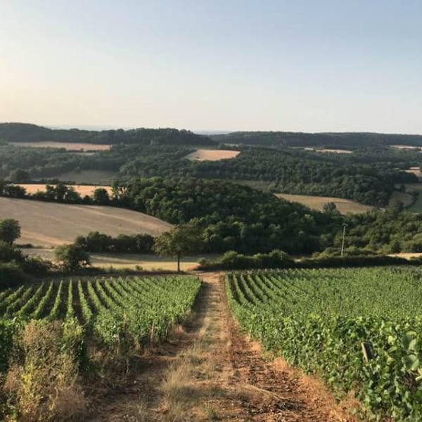 Domaine de La Soeur Cadette - Jean & Valentin Montanet