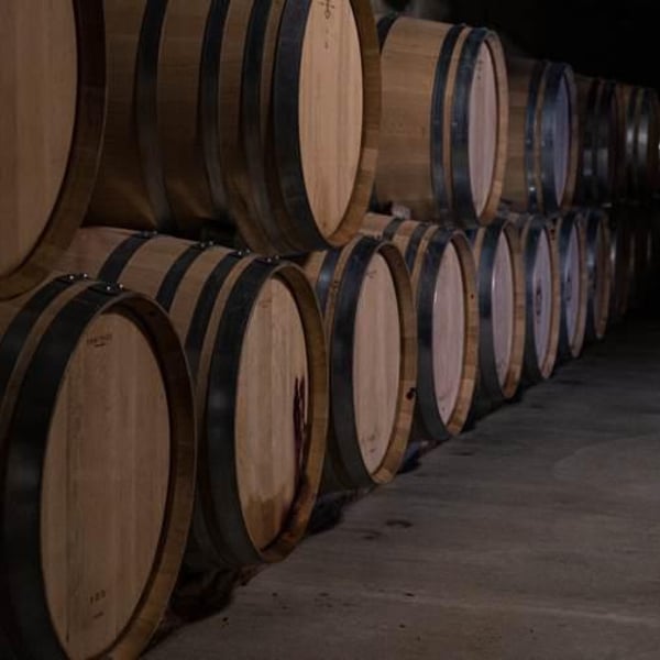 Domaine Millaire - Jean-Yves Millaire