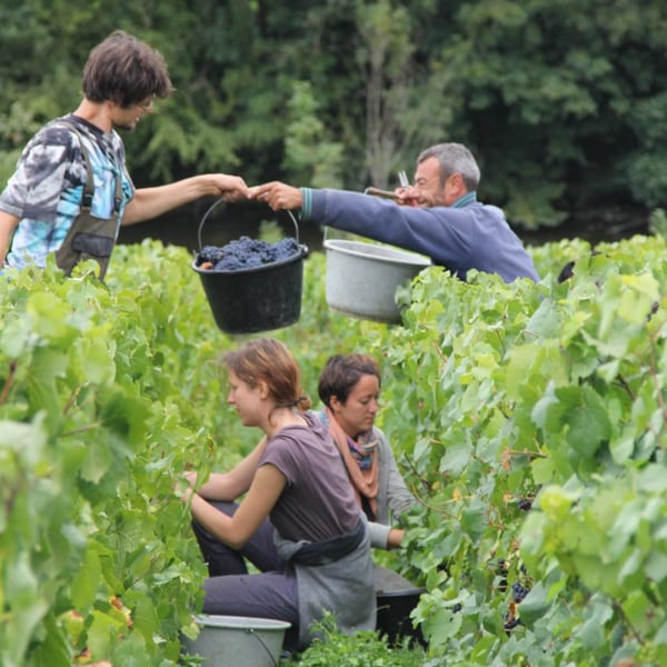 Champagne Piollot Père & Fils - Jeanne , Roland Piollot & Dominique Moreau