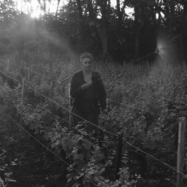 Domaine du Clair Obscur - Jennifer et Pierre Clair