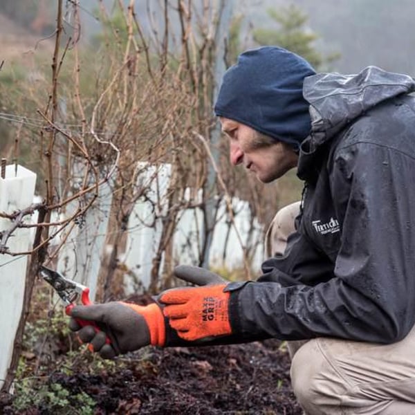 Domaine Jeremy Bricka - Vins Naturels D'Alp'titude - Jeremy Bricka