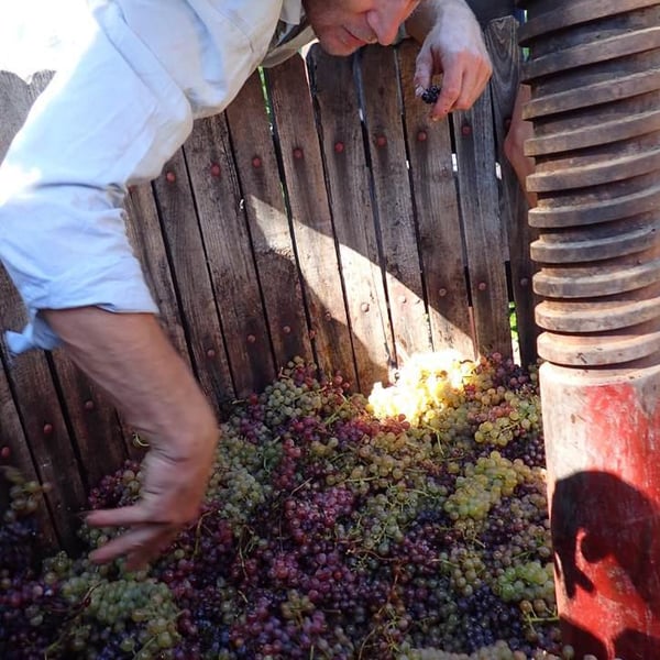 Domaine Jeremy Bricka - Vins Naturels D'Alp'titude - Jeremy Bricka