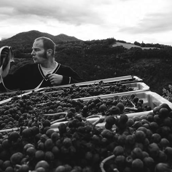 Domaine Jeremy Bricka - Vins Naturels D'Alp'titude - Jeremy Bricka