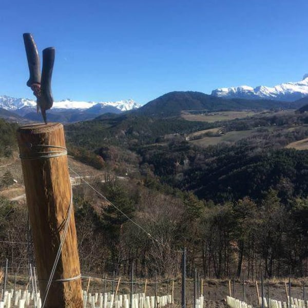 Domaine Jeremy Bricka - Vins Naturels D'Alp'titude - Jeremy Bricka