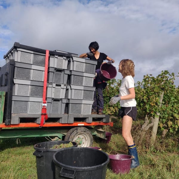 Domaine La Chance - Jérôme Becuwe et Kim Ly Kieu