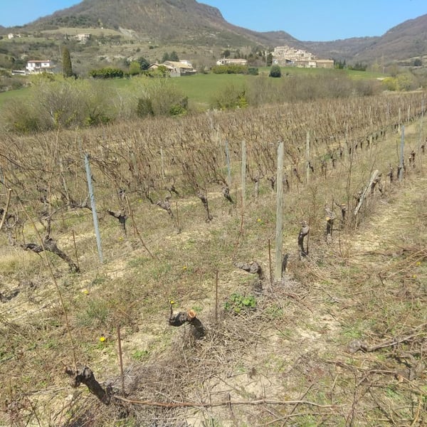 Devois De Joviac - Jérôme Vigne