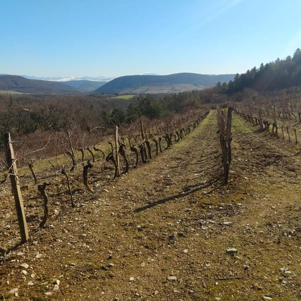 Devois De Joviac - Jérôme Vigne