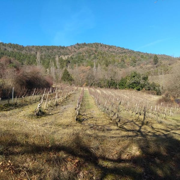 Devois De Joviac - Jérôme Vigne