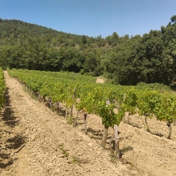 Devois De Joviac - Jérôme Vigne