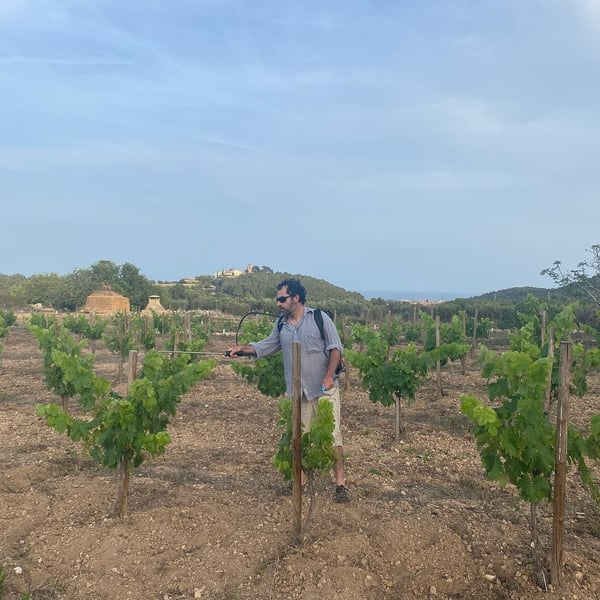 Oidà Vins naturals - Jesús Alonso