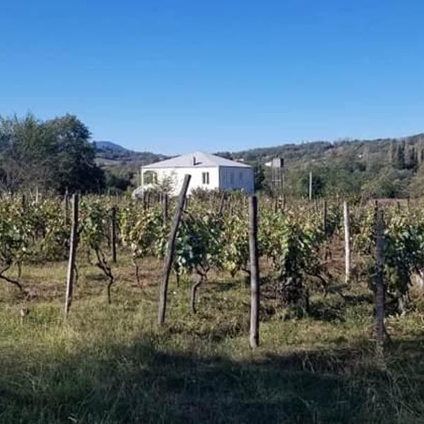 Okro's Wines - John Okruashvili