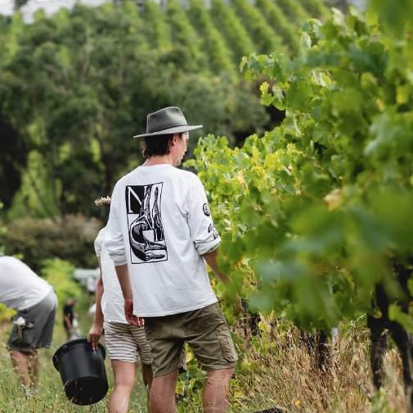 Fin Wines - JonJo McEvoy, Oliver Johns & Angus Hean