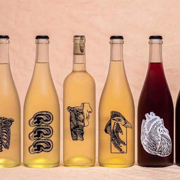 Fin Wines - JonJo McEvoy, Oliver Johns & Angus Hean