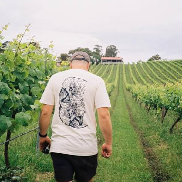 Fin Wines - JonJo McEvoy, Oliver Johns & Angus Hean