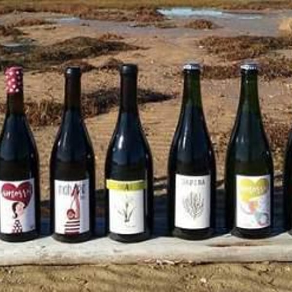 Bodega Vinificate - Mahara Viticultores - Jose & Miguel Gomez