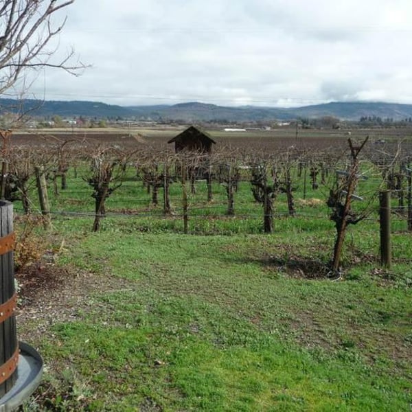 Celler Alter De Benimaquia - Jose Maria Bolufer