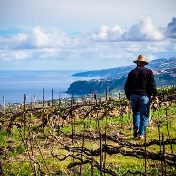 Bodega Finca Marañuela - Mercedes y Juan Felipe García Rodríguez
