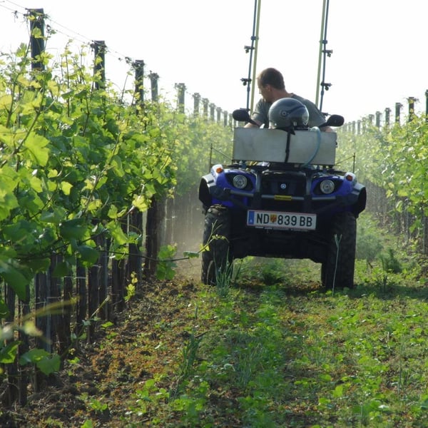 Weingut Beck - Judith Beck