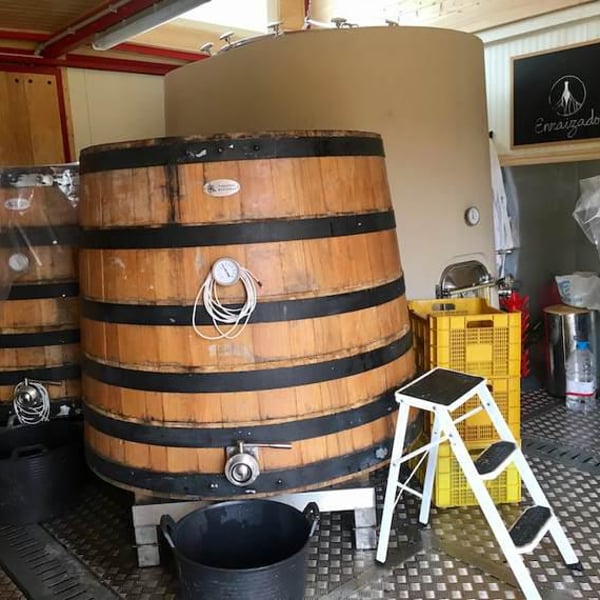 Bodega La del Terreno - Julia Casado