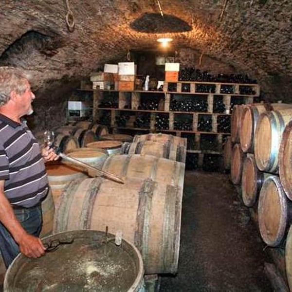 Julien Altaber & Carole Shwab, Domique Derain