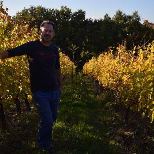 Domaine Julien Auroux - Julien Auroux