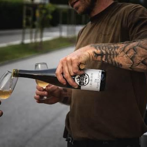 Domaine Julien Guillon - Julien Guillon