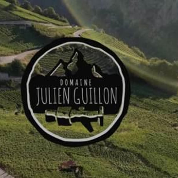 Domaine Julien Guillon - Julien Guillon