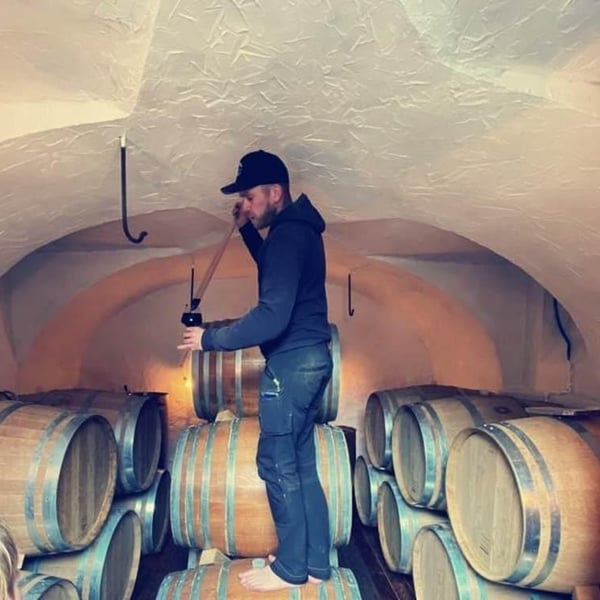 Domaine Julien Guillon - Julien Guillon