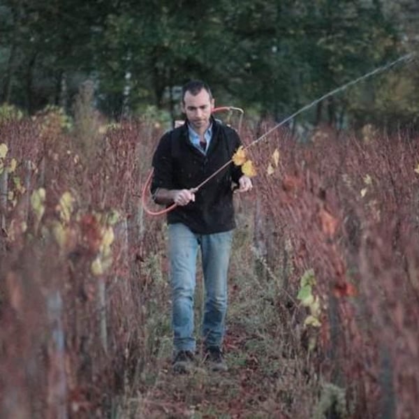 Domaine De La Roseraie - Julien Petitjean
