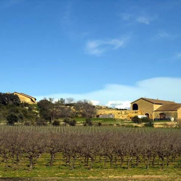 Domaine de Sulauze - Karina & Guillaume Lefèvre