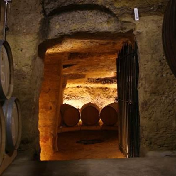 Domaine de Sulauze - Karina & Guillaume Lefèvre